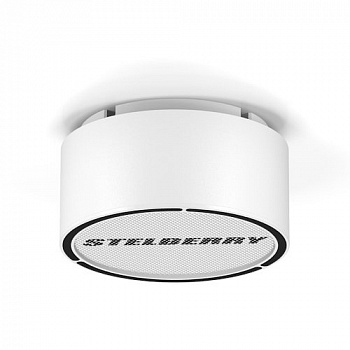 Stelberry F-310W Громкоговоритель потолочно-настенный