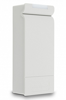 Считыватель RusGuard R-10 MF (Gray)
