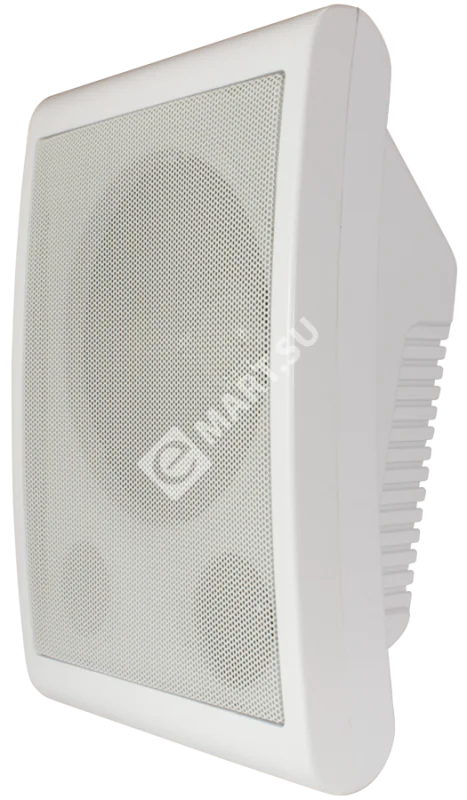 TSo-SW6a-2-2--900 (2)