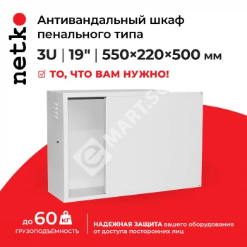 Netko Антивандальный Шкаф 3U пенального типа, (Ш*Г*В 550*220*500мм) 19"