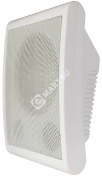 Tantos TSo-SW6aF Громкоговоритель